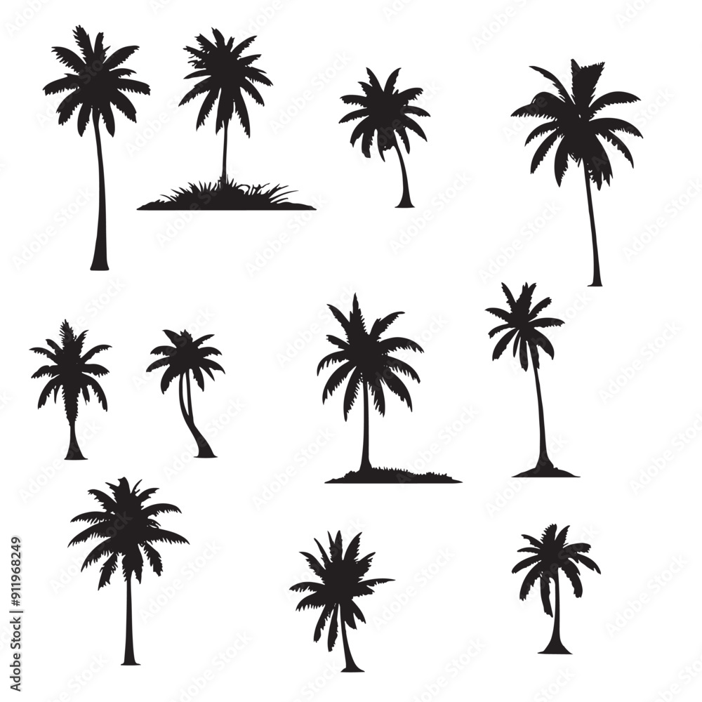 set of palm trees silhouettes on white set of palm trees silhouettes on white