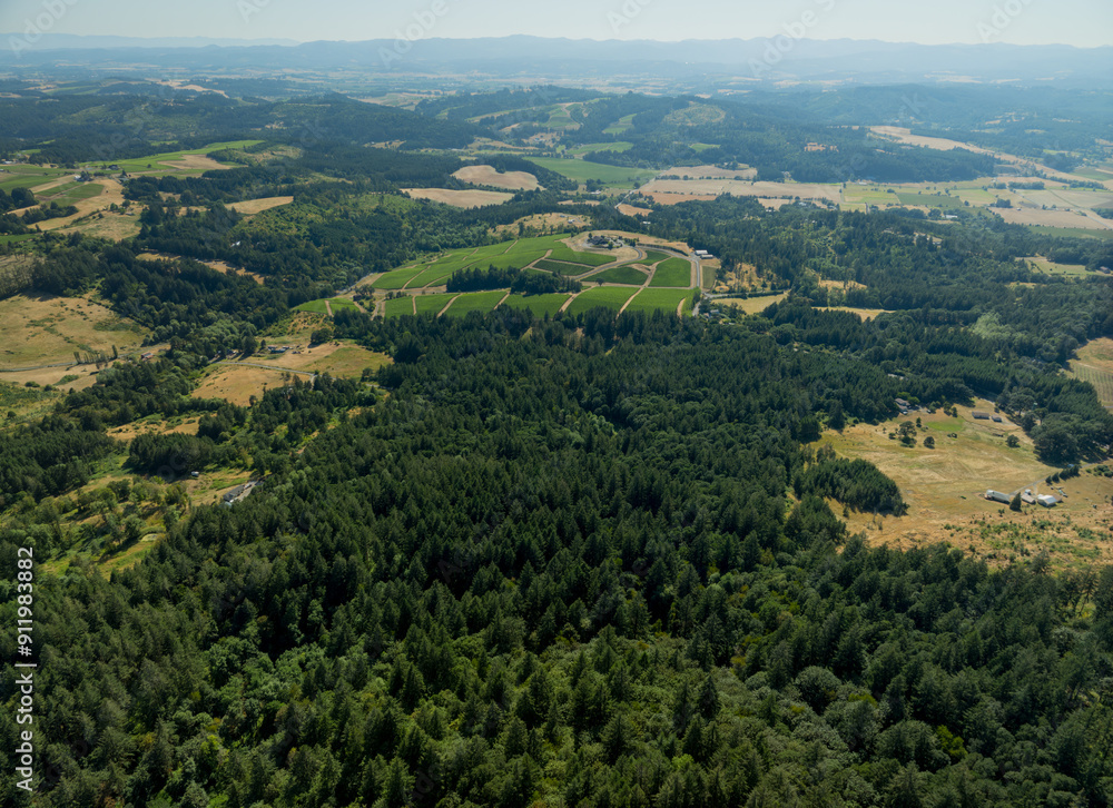 Obraz premium Top view of hills, vineyards, forest. Beautiful picturesque landscape. Light haze. Lots of greenery. Farming, forestry.