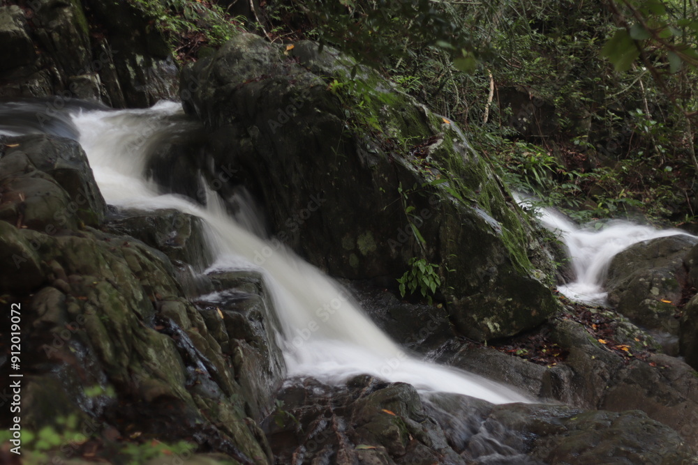 Obraz premium waterfall in the forest