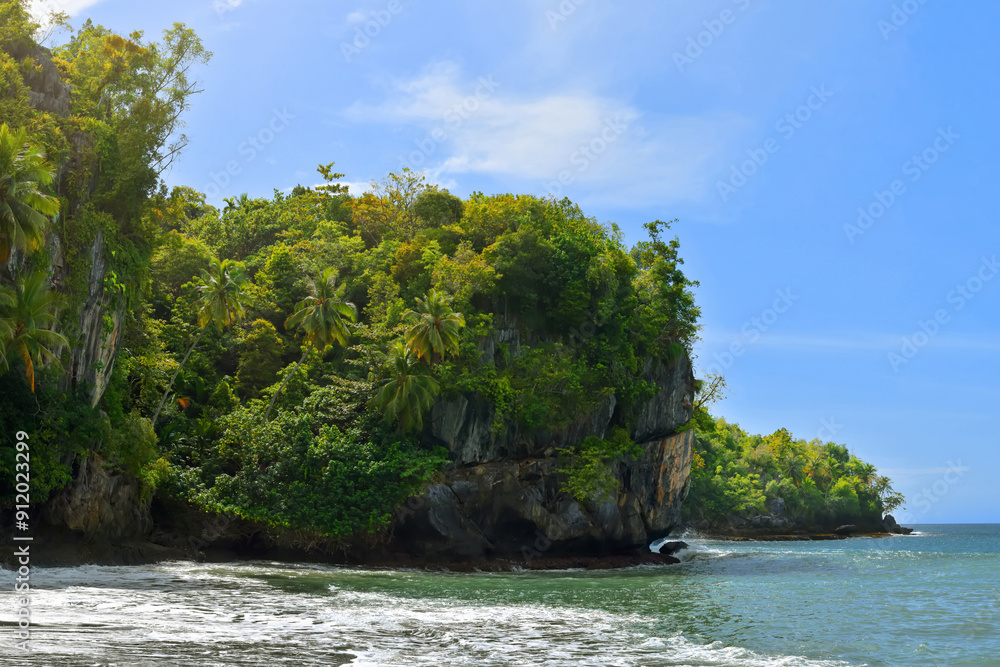 Obraz premium Beautiful tropical caribbean island forest, Nature background