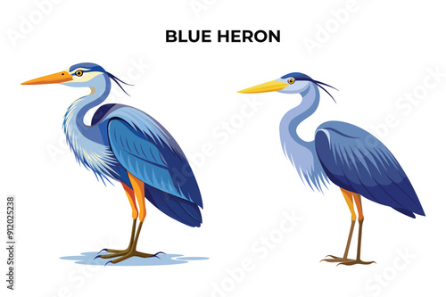 Obraz na plátně Beautiful Blue Heron on white background vector illustration
