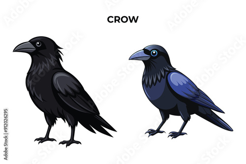 Beautiful Crow bird on white background vector illustration 