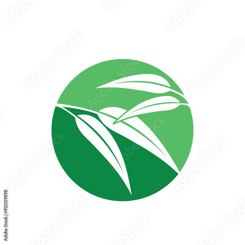 illustration of eucalyptus oil leaf, vector art.