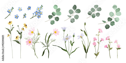 Spring and summer watercolor flower element vector set. Watercolor hand painted botanical floral, daisy, wildflower, eucalyptus leaves. Design for wallpaper, poster, banner, card, print, website.