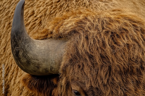 Detailed view of aurochs fur and muscular build, showcasing strength and adaptation to grazing in cold, open landscapes. High-resolution, detailed textures, crisp focus