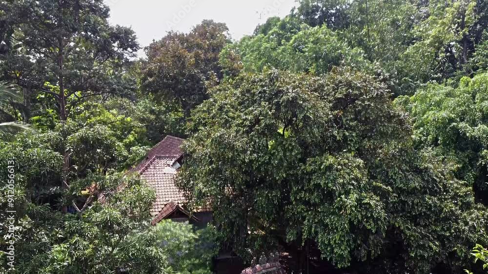 Tomb of Joyokusumo, Mount Pati, Semarang, Indonesia. Aerial view of a lush green forest with dense trees surrounding a traditional house with a tiled roof, partially hidden among the foliage. Tomb of Joyokusumo, Mount Pati, Semarang, Indonesia. Aerial view of a lush green forest with dense trees surrounding a traditional house with a tiled roof, partially hidden among the foliage.