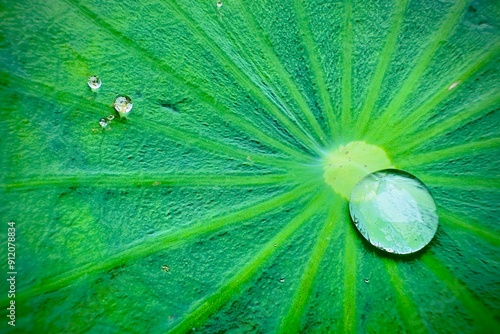 water drops on leaf