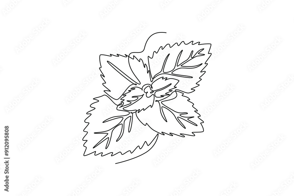 Fototapeta premium Continuous one line drawing of healthy blossom organic freshness mint leaves for farm logo identity. Fresh mentha plant concept for plantation icon. Single line draw design vector graphic illustration