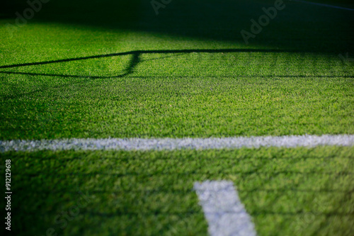 Grass in professional  Soccer Field