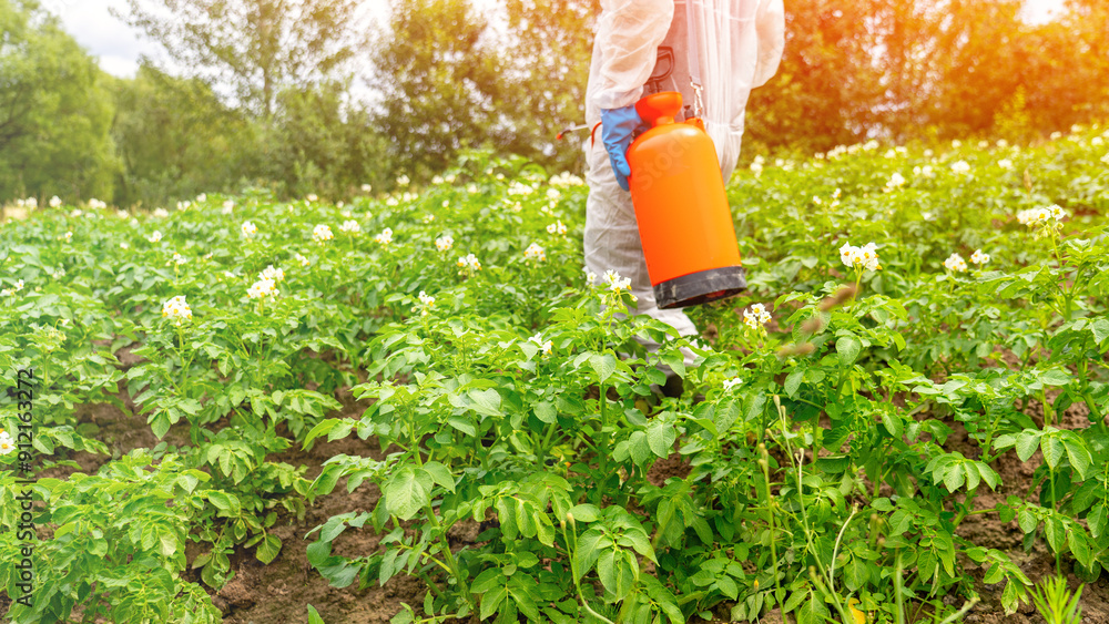 Fototapeta premium Man spraying toxic pesticides or insecticides on plantations. Industrial Agriculture. Pesticide spraying. Non-organic vegetables. Pollution