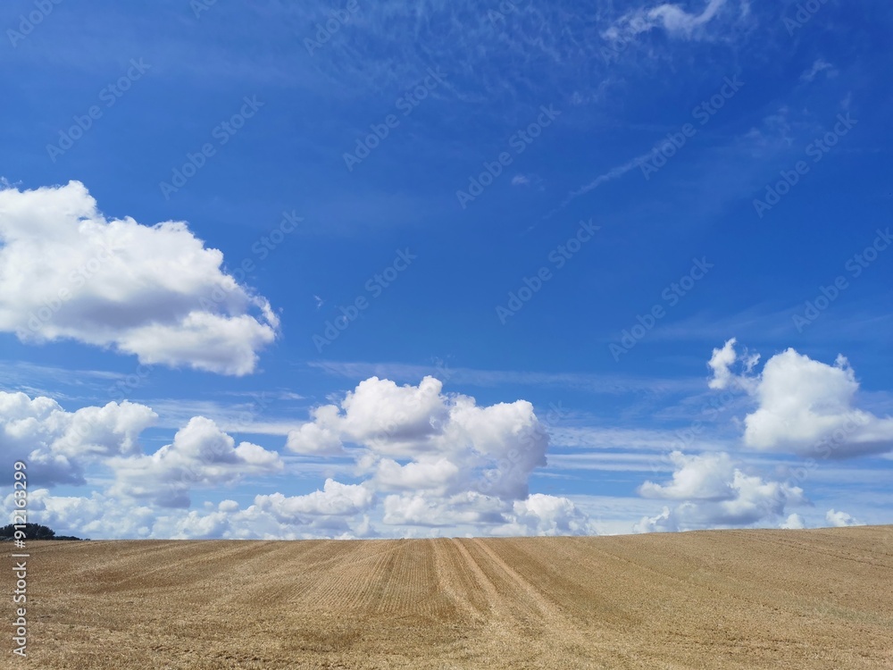 A harvested field with a blue sky in the background in north Germany between Rostock and Schwaan, close to the Warnow river A harvested field with a blue sky in the background in north Germany between Rostock and Schwaan, close to the Warnow river