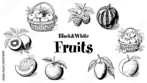 Fruits Black&White Vector 2