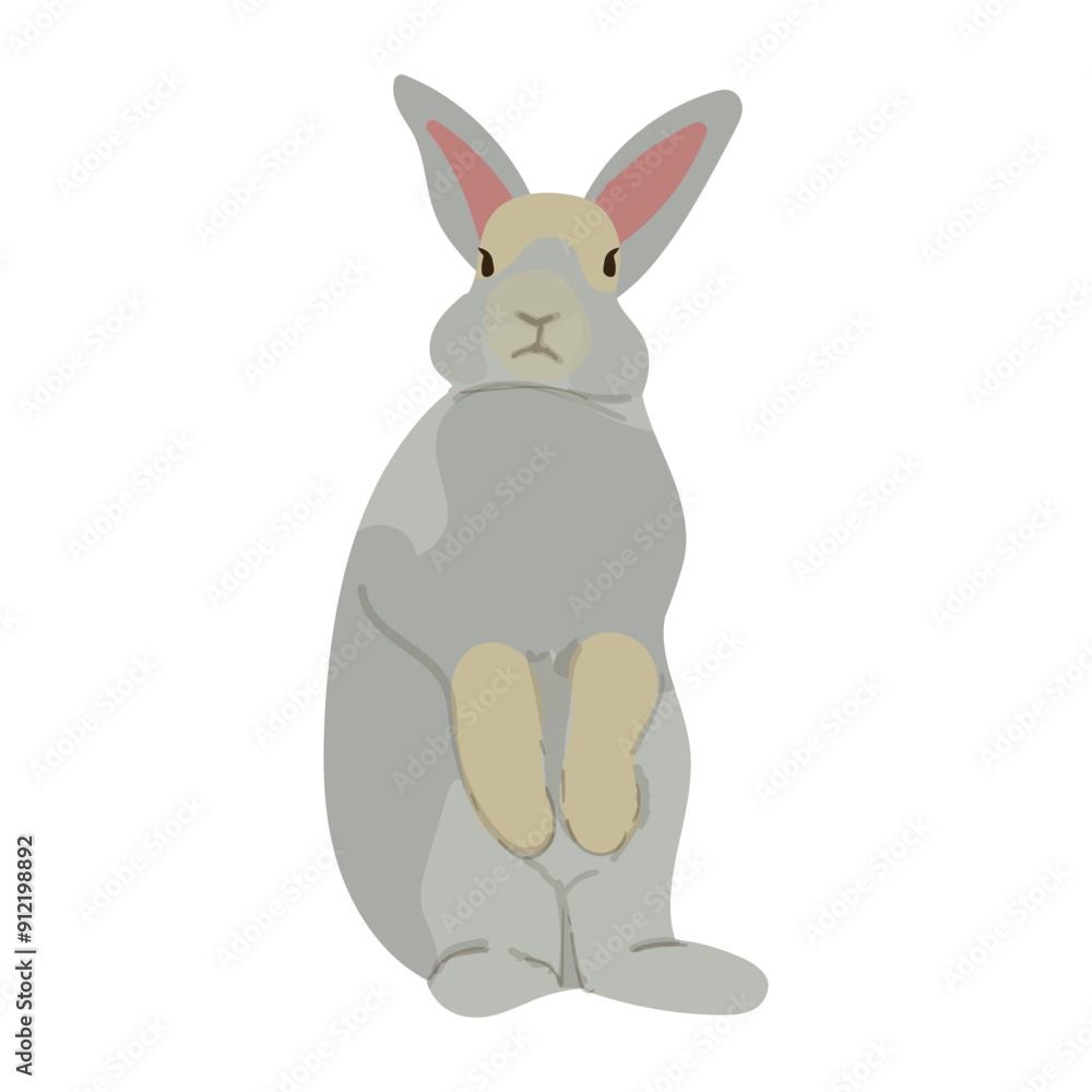 Obraz premium Rabbit Animal Illustration