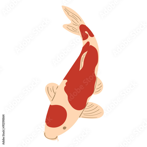 Koi Fish Animal Illustration