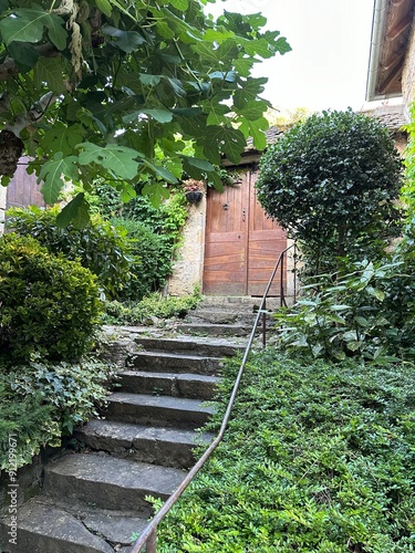 Obraz na płótnie escalier et porte en bois w salonie