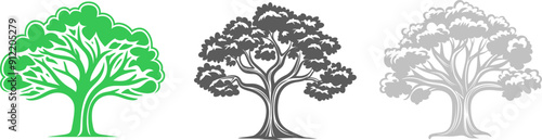 Oak tree icon silhouette. Vector template eps10 design.