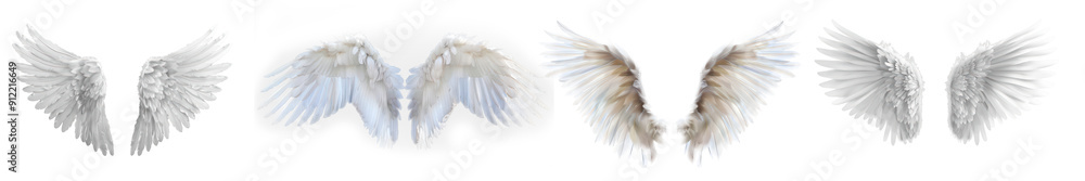 Fototapeta premium White wings collection, isolated on transparent background. 