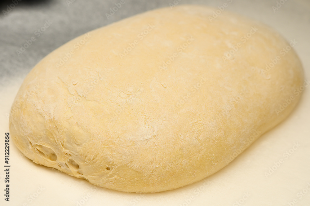 Sour dough (close-up, full frame) Sour dough (close-up, full frame)