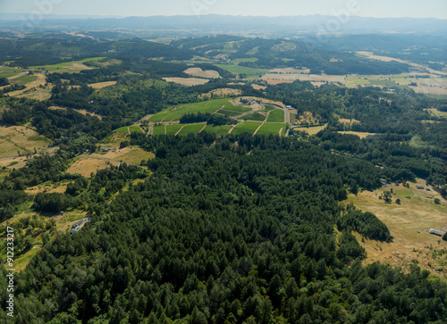 A lush green forest with a few houses in the distance