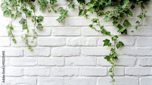 Ivy White brick wall texture background,Climbing plant, green ivy or vine plant growing on antique brick wall of abandoned house,ancient bricks fence,brickwork exterior mockup,Retro style background.