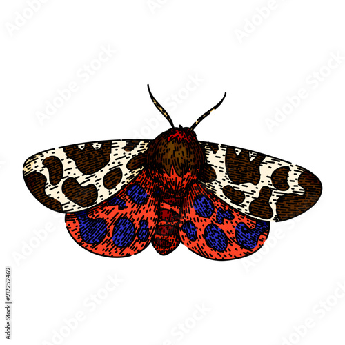 camouflage night moth hand drawn. metamorphosis lepidoptera, scales flutter, crepuscular pheromones camouflage night moth vector sketch. isolated color illustration