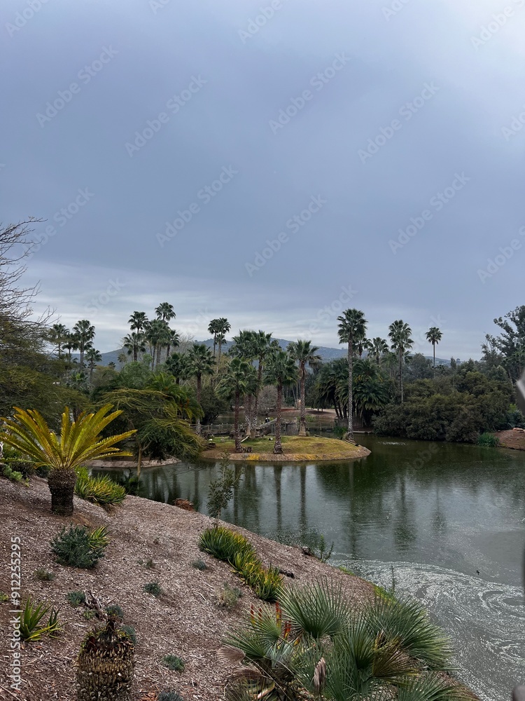 Fototapeta premium beach with palm trees