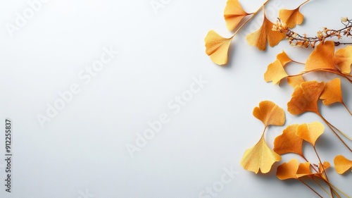 Autumnal setting with ginkgo leaves falling, perfect for text placement. photo