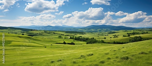 Lush Green Valley