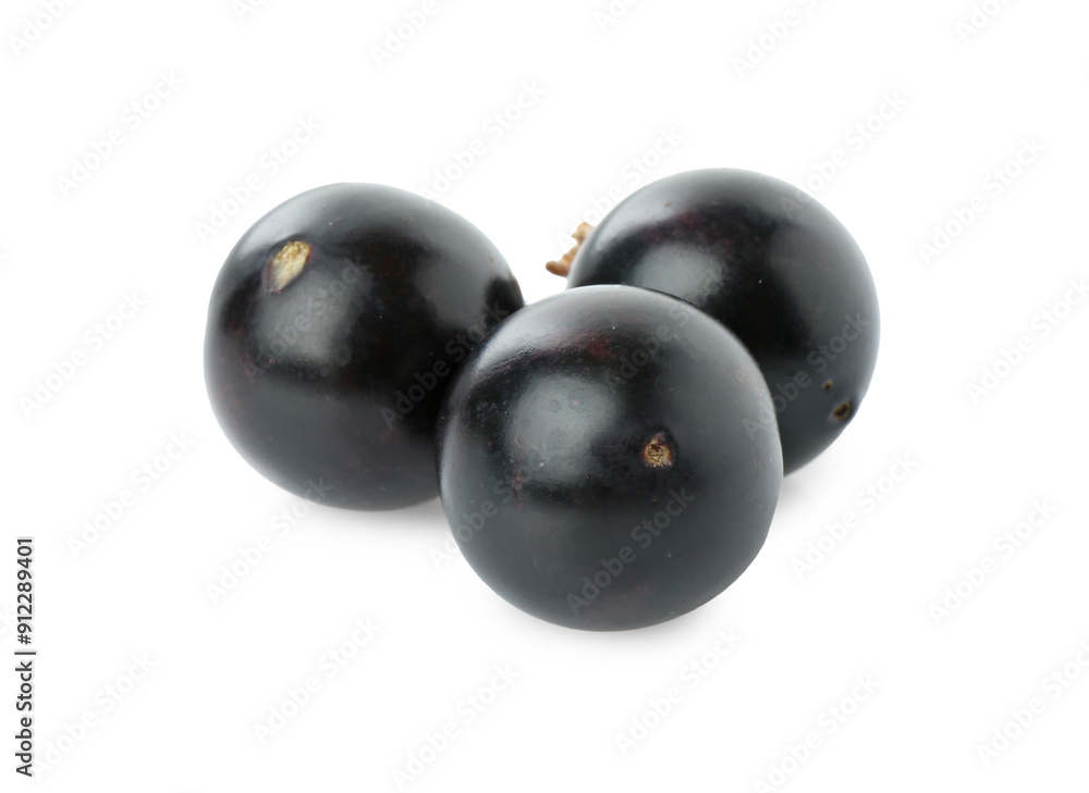 Fresh ripe black currant berries isolated on white Fresh ripe black currant berries isolated on white