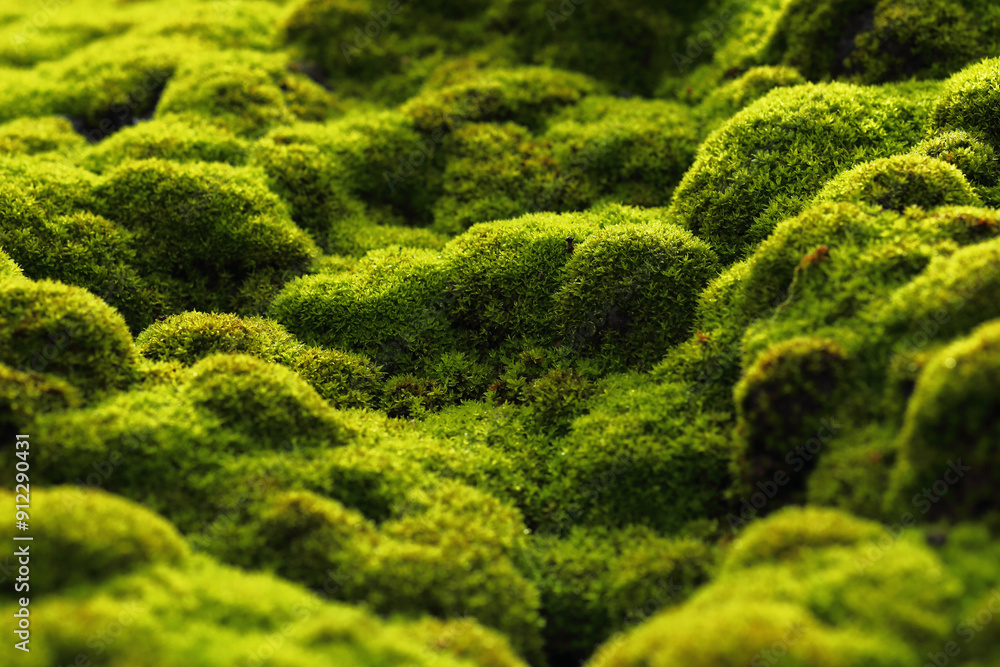 Green moss on limestone mountains in the rainy season of Thailand Green moss on limestone mountains in the rainy season of Thailand