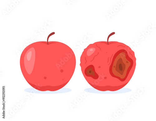 illustration of fresh and nice red apple with rotten and damaged apple. condition of food or fruit. change, old and new. flat style design. graphic elements
