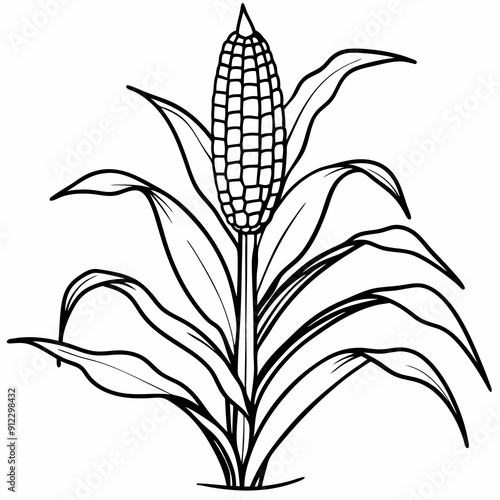 Line art of corn plant growing in the field 