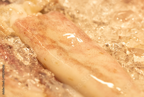 squid carcass in ice as background.