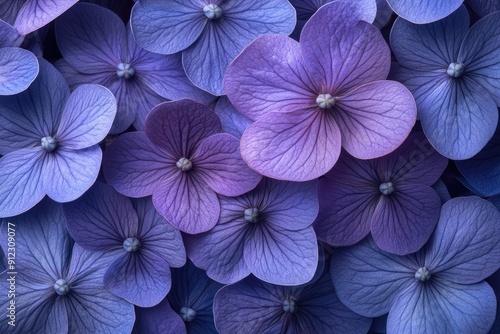 Beautiful purple hydrangea flowers creating floral background