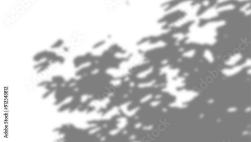 Realistic shadow of tree with leave, shadow overlay effects on a transparent background
