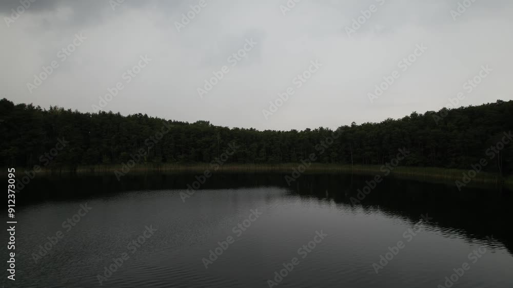 surface of the strzeszynek lake in summer surface of the strzeszynek lake in summer