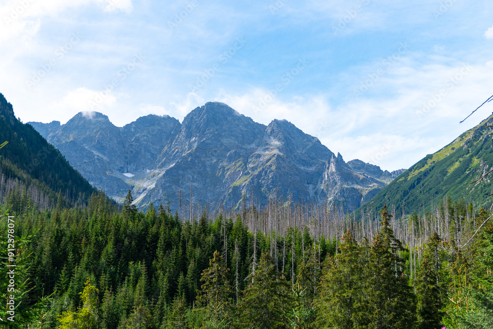mountain view forest landscape Poland Zakopane mountain view forest landscape Poland Zakopane