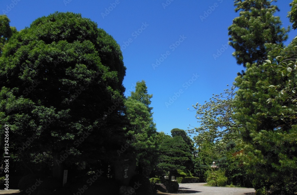 Tourist destinations in Tokyo, the heart of Japan Tourist destinations in Tokyo, the heart of Japan