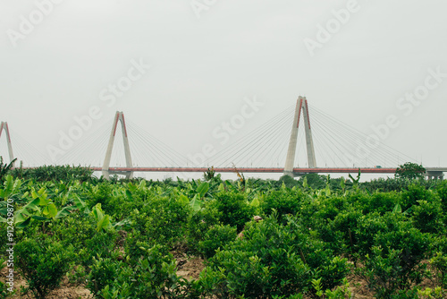 The Nhat Tan Bridge Japan Friendship Bridge is a cable-stayed bridge crossing the Red River in Hanoi, vietnam - 2 may 2024 photo