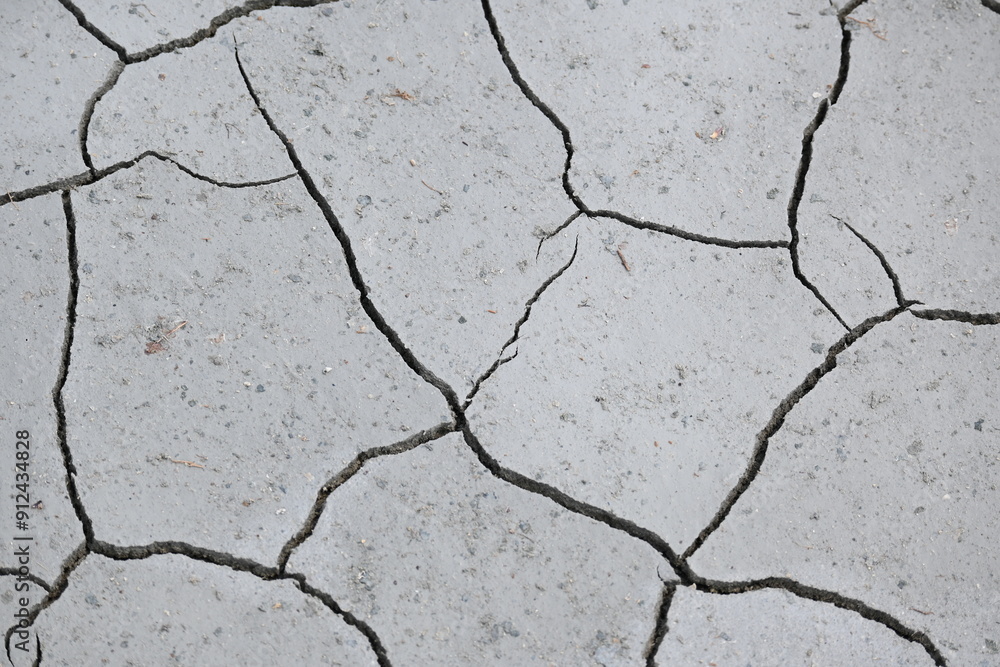 Fototapeta premium Cracked earth background texture