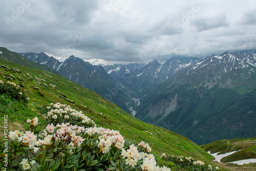 Magnificent mountains to trek in Mestia. Blooming mountain views in snowy weather in Mestia Georgia. Magnificent Mestia mountain views. Koruldi Lake trekking route. photo