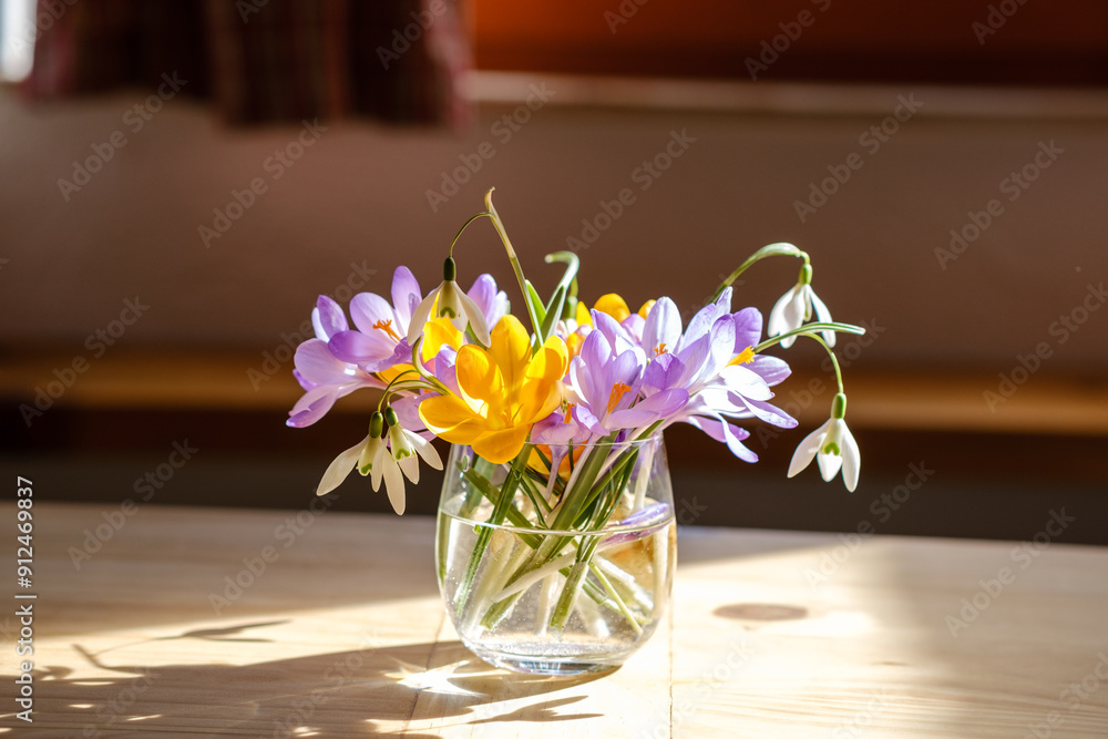 Bouquet of purple crocus in vase. Spring flowers in a vase.