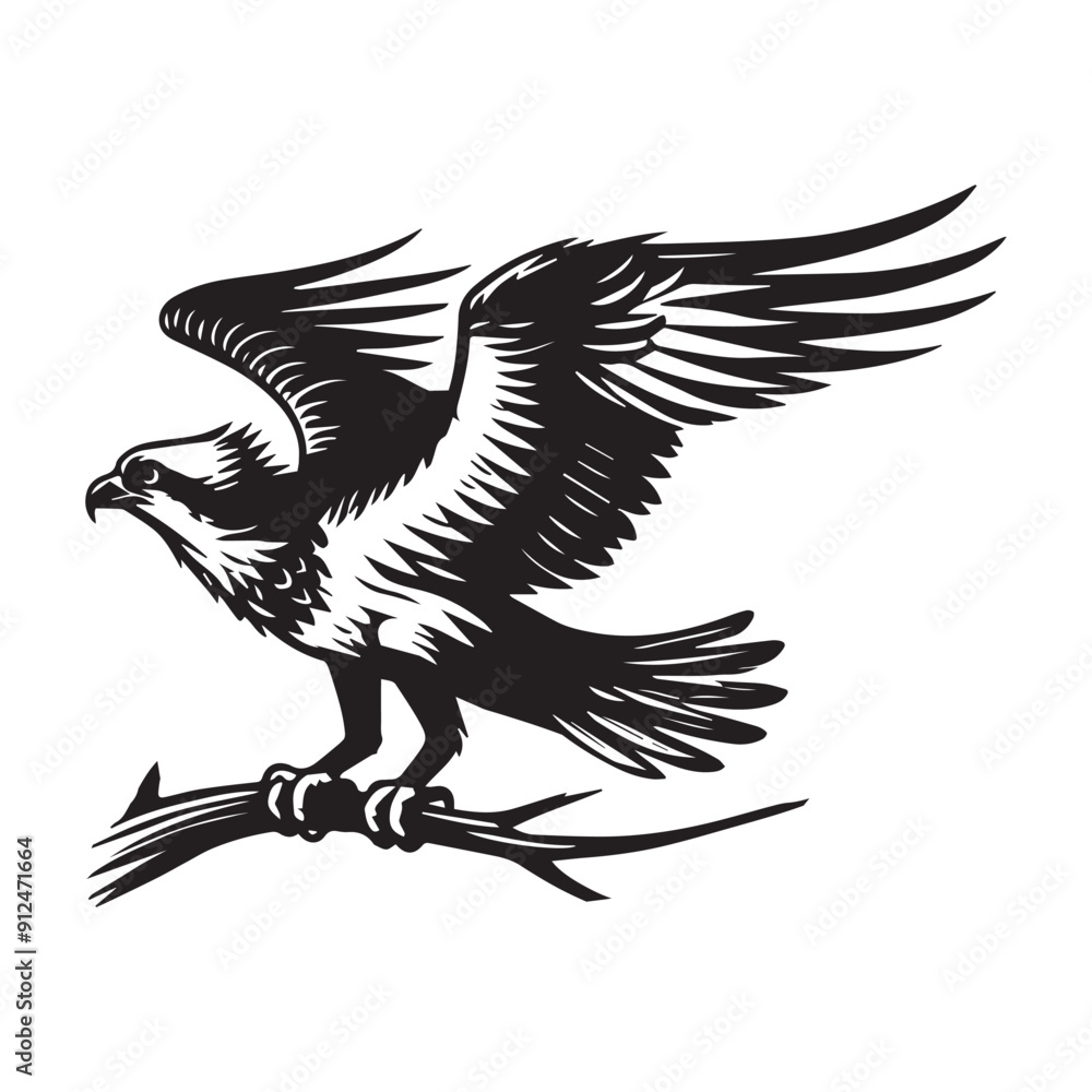 Fototapeta premium Osprey Clipart, Sea hawk silhouette, Fish hawk illustration, Eagle bird logo 