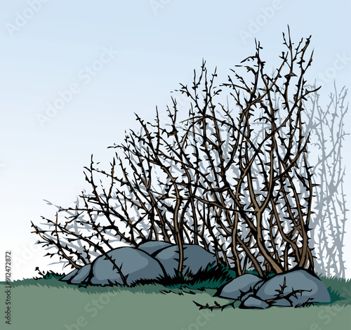 Vector drawing. The thorn bushes