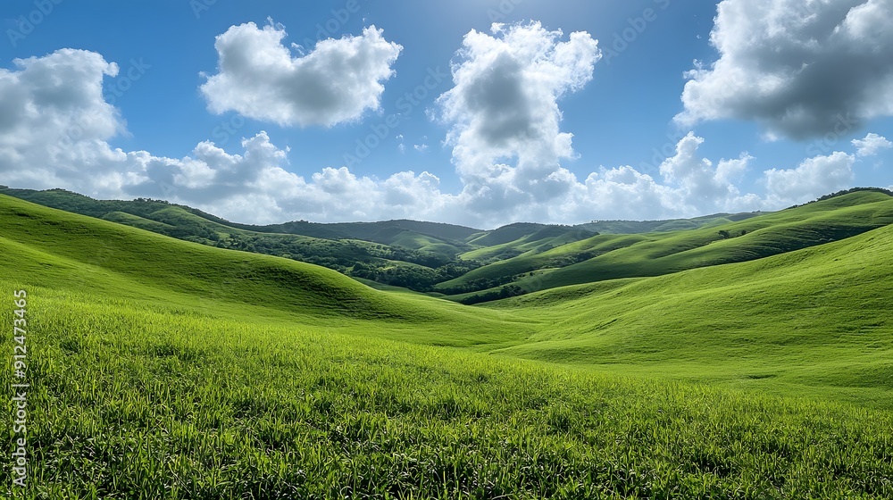 Serene Meadows. Tranquil nature concept Serene Meadows. Tranquil nature concept