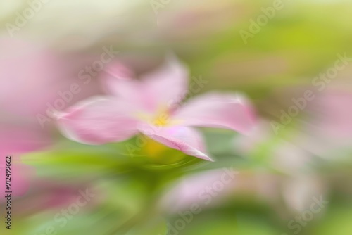 Soft Pastel Bokeh Background with Gentle Hues of Pink and Green Blurred Flower