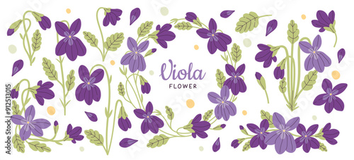 Vivid viola flower plant with blossoms and green leaves, floral wreath and seasonal decoration set