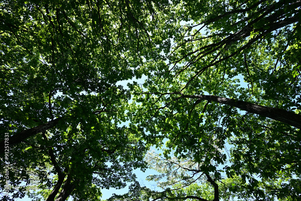 Mount. Haruna, Takasaki, Gunma, Japan Mount. Haruna, Takasaki, Gunma, Japan