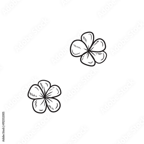 Beautiful tiare frangipani white flowers from Hawaii with creamy scent in black on white background. Hand drawn vector sketch illustration in doodle engraved vintage line art style. PErfume, tropical