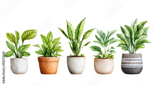 realistic, illustration, potted plants, lush green leaves, unique textures, varying designs, varying colors, varying sizes, cohesive aesthetic, white background, clean, minimalist, natural beauty, det